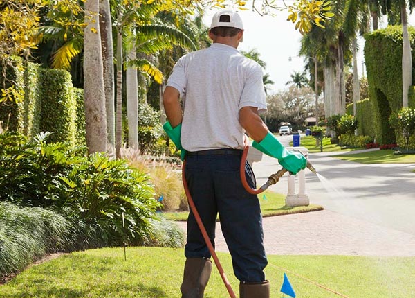 About North Woodstock NH Pest Control Pros